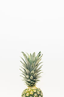 Ananasfrucht, Ananas-Krone, aufstehen, golden, Ananas, Obst, Lebensmittel, Frische, reif, gesundes Essen, Erfrischung, organisch, einzelnes Objekt, Gourmet, Natur, Gelb, Diät halten, isoliert, Süßes Essen, Vitamin, Nahansicht, Weiß, Essen und Trinken, grüne Farbe, Hintergründe, Studioaufnahme, weißer Hintergrund, ausgeschnitten, kopieren sie platz, Tropische Frucht, drinnen, keine Leute, Stillleben, Blatt, Wohlbefinden, Pflanzenteil, Wachstum, stachelig, 5K, CC0, gemeinfrei, lizenzfrei