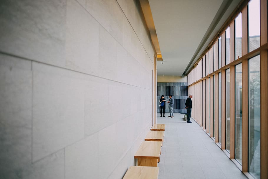 persona, portar, negre, pantalons, mirant, fora, finestra de vidre, tres, de peu, edifici, finestra, banc, paret, concret, arquitectura, caminar, adult, homes, a l'interior, longitud completa, gent, persones incidentals, arcade, passadís, dia, dones, mascles, negocis, ocupació, vista del darrere, company de feina, 5K