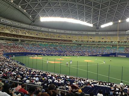 baseball, game, watch, support, fan, stadium, sports Venue, horse Racing, horseracing Track, flat Racing, animal Sport, sport, competitive Sport, crowd, equestrian Event, sports Track, racehorse, competition, people, spectator, sports Race, large group of people, group of people, real people, leisure activity, lifestyles, adult, playing field, watching, architecture, soccer field, illuminated, arts culture and entertainment, night, looking, outdoors, match - sport, ceiling, 2K, CC0, public domain, royalty free