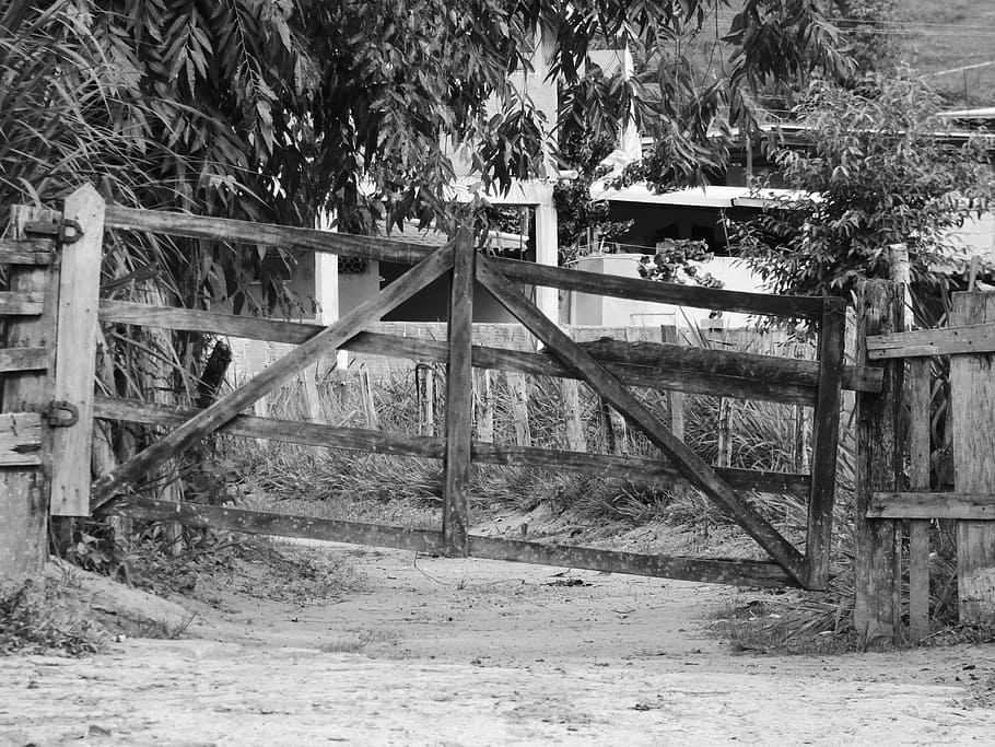 conserge, vell, granja, roça, Brasil, minas, Camí, carretera, sòl, carrer, entrada, arbre, planta, arquitectura, dia, material de fusta, naturalesa, cap gent, estructura construïda, terra, a l'aire lliure, Palmera, barana, abandonat, escala, camp, fusta, absència, bosc, espatllat, 4K