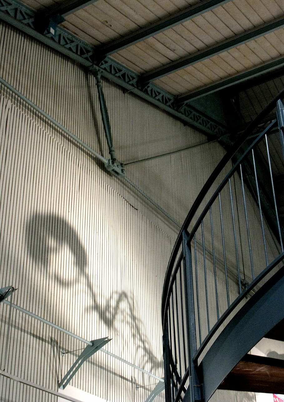 dinosaurus, skygge, museum, indre, Paris, arkitektur, bygget struktur, lav vinkel visning, indendørs, metal, ingen mennesker, bygning, loft, dag, trappe, transportmidler, mønster, rækværk, moderne, trapper og trapper, forbindelse, murbygningsfunktion, tag, væg, 2K