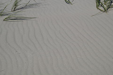 le sable, structure, texture, non affecté, modèle, Contexte, plage, vague, ondulé, la nature, arrière-plans, plein cadre, personne, journée, terre, vue grand angle, tranquillité, plante, beauté dans la nature, paysages - nature, texturé, désert, climat aride, dune de sable, en plein air, motif naturel, climat, 5K, CC0, domaine public, libre de droits