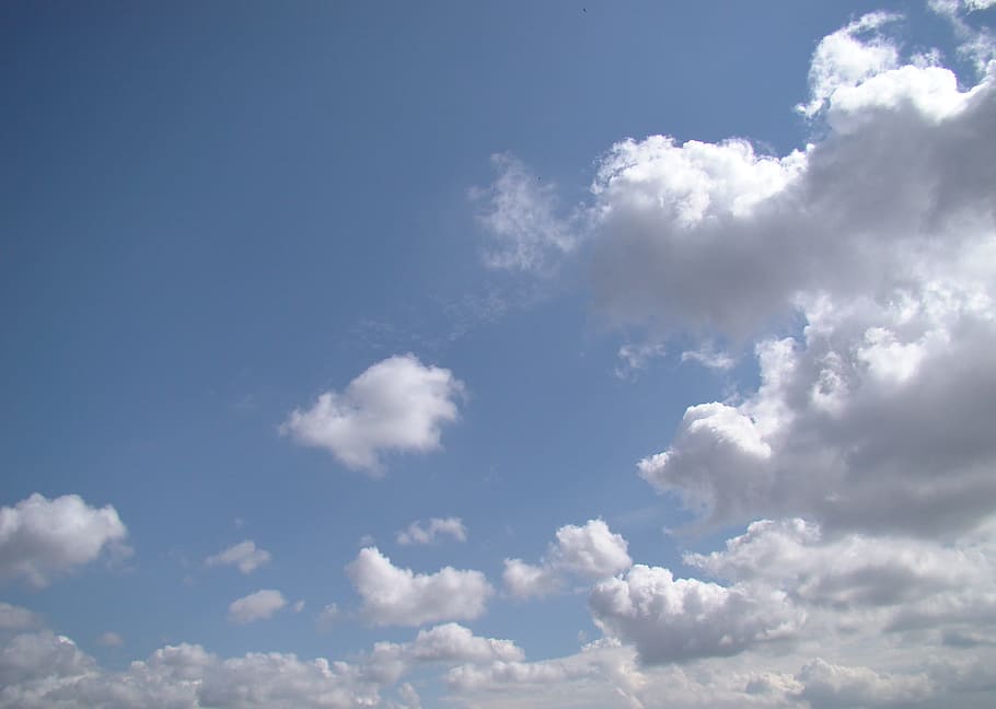 cel, blau, núvols, Cúmulus, dia, núvol - cel, bellesa a la natura, cloudscape, Color blanc, escenics - natura, atmosfera, vent, fons, naturalesa, esponjós, medi ambient, tranquil·litat, llum solar, idíl·lic, cap gent, meteorologia, a l'aire lliure, netejar, suavitat, brillant, clima, 2K