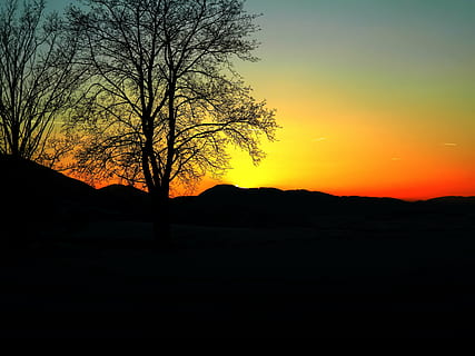 posta de sol, arbre, sol, liptov eslovac, hivern, cel, silueta, bellesa a la natura, escenics - natura, tranquil·litat, color taronja, escena tranquil·la, paisatge, medi ambient, cap gent, naturalesa, idíl·lic, escena no urbana, arbre nu, a l'aire lliure, planta, terra, remot, 4K, CC0, domini públic, lliure de regalies