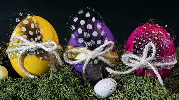 drei, sortiert, Ostereier, Ostern, Ei, bunte Eier, bunt, Frohe Ostern, farbig, gefärbte Eier, Farbe, gefärbte Ostereier, schließen, modern, verziert, Ornamente, Licht, Beleuchtung, hell, glänzend, Frühling, Osterei, Feier, Nahansicht, Pflanze, Urlaub, mehrfarbig, Natur, Blume, keine Leute, blühende Pflanze, Lebensmittel, Variation, Stillleben, Wahl, Tier, Dekoration, lila, Tierflügel, Schmetterling - Insekt, 5K, CC0, gemeinfrei, lizenzfrei