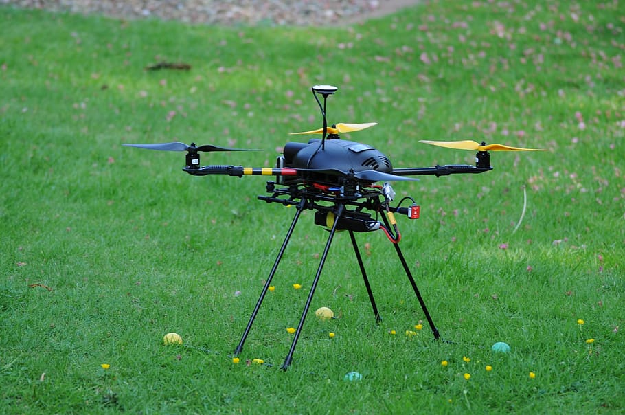 helicóptero, modelo, fabricação de modelo rc, quadcopter, multicopter, modelo rc, campo, cor verde, vôo, grama, natureza, terra, plantar, dia, veículo aéreo, ninguém, modo de transporte, ar, transporte, crescimento, ao ar livre, animal, temas animais, militares, animais selvagens, indústria aeroespacial, 4K