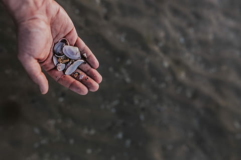 touching the water, Touching, water, sea, hand, male, waterscape, man's hand, human Hand, nature, holding, close-up, dirt, human body part, coin, finance, currency, solid, rock, one person, focus on foreground, rock - object, day, outdoors, wealth, selective focus, adult, animal wildlife, finger, 5K
