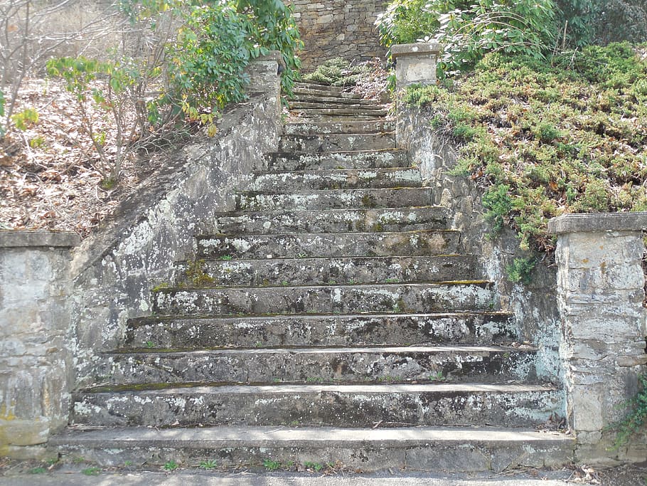 grå, beton, trappe, græsfelt, murværk, trin, væg, sten-, mursten, gammel, struktur, arkitektur, hus, konstruktion, årgang, design, cement, materiale, mønster, ydre, forvitret, blok, udendørs, antik, gips, traditionel, alderen, ru, clambering, trapper og trapper, bygget struktur, vejen frem, retning, ingen mennesker, dag, plante, lav vinkel visning, solid, bygning udvendig, stenmateriale, natur, historie, træ, rækværk, flytter op, Stenmur, ødelagt, 4K