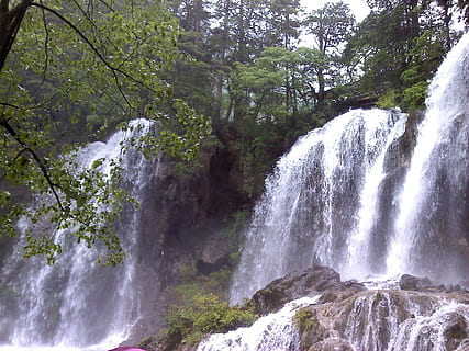 jiuzhaigou, falls, bomen, boom, schoonheid in de natuur, scenics - natuur, waterval, fabriek, water, Bos, beweging, stromend water, lange blootstelling, natuur, geen mensen, land-, milieu, groei, wazig beweging, dag, niet-stedelijke scène, rots, buitenshuis, vloeiende, kracht in de natuur, regenwoud, 1080P, CC0, publiek domein, royaltyvrij