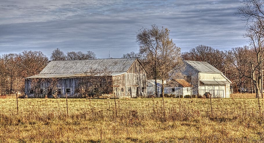 graner, rústic, graners, ohio, art digital, rural, escènic, país, camp, paisatge, cobert, coberts, granja, granges, agricultura, agrícola, Masia, campanar, comtat, americana, foto, fotografia, estructura, estructures, sturgell, William Sturgell, factura sturgell, històric, decoració de la llar, edificis, núvols, cel, arbre, arbres, ennuvolat, cels, males herbes, comtat del campanar, urbana, arquitectura, exterior de l'edifici, estructura construïda, edifici, planta, casa, herba, terra, naturalesa, edifici agrícola, cap gent, escena rural, barri residencial, escena no urbana, abandonat, a l'aire lliure, 5K
