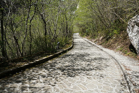 Camí, arbres, sòls, ruta, carretera, via, naturalesa, pis, arbre, el camí a seguir, bosc, cap gent, a l'aire lliure, planta, direcció, sendera, terra, tranquil·litat, creixement, perspectiva decreixent, dia, bellesa a la natura, escena tranquil·la, escena no urbana, escenics - natura, tronc, aigua que flueix, llarg, 1080P, CC0, domini públic, lliure de regalies