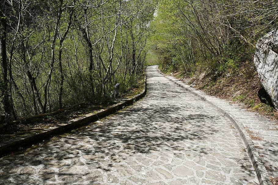 Camí, arbres, sòls, ruta, carretera, via, naturalesa, pis, arbre, el camí a seguir, bosc, cap gent, a l'aire lliure, planta, direcció, sendera, terra, tranquil·litat, creixement, perspectiva decreixent, dia, bellesa a la natura, escena tranquil·la, escena no urbana, escenics - natura, tronc, aigua que flueix, llarg, 1080P