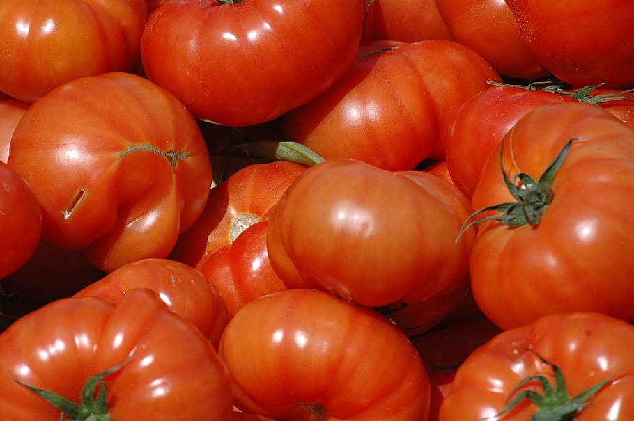 tomàquet, vermell, poder, menjar i beguda, menjar, vegetals, alimentació saludable, frescor, benestar, fruita, gran grup d'objectes, abundància, cap gent, marc complet, fons, primer pla, natura morta, madur, venda al detall, mercat, dia, menjar vegetarià, 2K