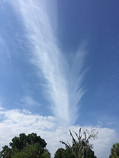 nature, blue, sky, clouds, burst, trees, scenic, cloudscape, white, green, rural, field, day, air, atmosphere, plant, cloud - sky, tree, low angle view, beauty in nature, no people, scenics - nature, tranquility, growth, tranquil scene, outdoors, idyllic, long exposure, motion, non-urban scene, blurred motion, wispy, 2K, CC0, public domain, royalty free