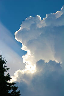 moln, stackmoln, himmel, Sol, solstråle, moln - himmel, skönhet i naturen, lågvinkelvy, scenics - natur, lugn, natur, lugn plats, dag, inget folk, blå, utomhus, idyllisk, solljus, vit färg, icke-urbana scenen, träd, växt, clouds, mjukhet, meteorologi, 2K, CC0, offentligt domän, royaltyfria