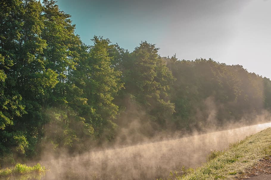 Nebel, Fluss, Wasser, romantisch, Himmel, morgenstimmung, Baum, Pflanze, Wald, Umgebung, Land, Landschaft, Natur, Schönheit in der Natur, Szenen - Natur, Ruhe, keine Leute, Morgen, Sonnenlicht, Sonnenstrahl, Kiefer, ruhige Szene, draußen, Kiefernwald, Nadelbaum, 4K