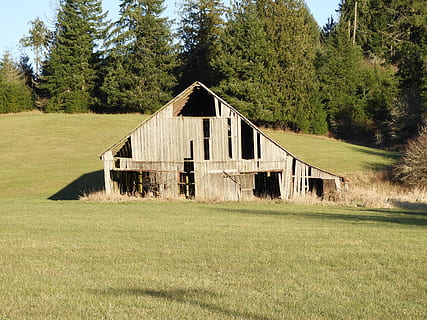 Scheune, rustikal, verwittert, alt, Feld, Bauernhof, Pflanze, Baum, die Architektur, gebaute Struktur, Land, Gras, Natur, grüne Farbe, Gebäudehülle, Wachstum, Landschaft, keine Leute, Tag, landwirtschaftliches Gebäude, Haus, Sonnenlicht, Holz - Material, Umgebung, Gebäude, draußen, Kabine, 5K, CC0, gemeinfrei, lizenzfrei