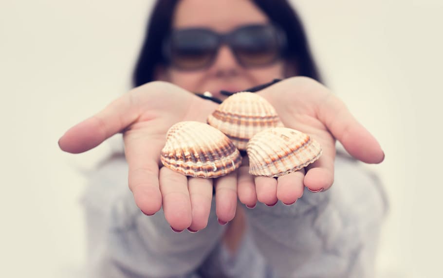 selectiu, foto del focus, dona, celebració, tres, petxines marines, gris, superior, petxines, mà, palmell, shell, marisc, borrós, gent, una persona, una sola dona, només dones, només adults, només una jove, adult, adult jove, dia, centrar-se en primer pla, menjar, mà humana, menjar i beguda, retrat, ulleres de sol, primer pla, vista frontal, part del cos humà, menjar dolç, gots, emoció, nen, moda, tirada al cap, 5K