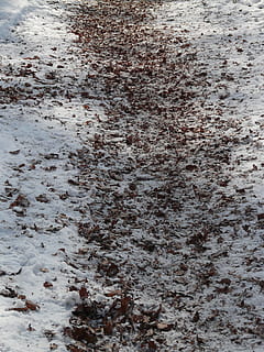 trail, winter, run, snow, wintry, snowy, cold, white, full frame, backgrounds, no people, pattern, textured, built structure, architecture, close-up, nature, white color, outdoors, day, wall - building feature, rough, marble, weathered, abstract, abstract backgrounds, 2K, CC0, public domain, royalty free