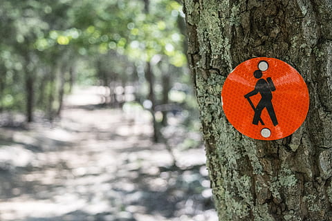 rot, schwarz, Beschilderung, Baum von, flach, fokus fotografie, Gehen, Beschilderung Aufkleber, rot und Schwarz, anmelden, Baumstamm, Wanderung, Baum, Kofferraum, Borke, Zeichen, Natur, draußen, Wald, orange Farbe, Herbst, Tag, Fokus auf den Vordergrund, Pfeilsymbol, Pflanze, keine Leute, Darstellung, Beratung, Nahansicht, Kommunikation, Land, Richtung, menschliche Darstellung, texturiert, 5K, CC0, gemeinfrei, lizenzfrei
