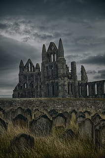 castell de formigó gris, gòtic, abadia, whitby, vampir, dràcula, monestir, referència, Gran Bretanya, Anglaterra, Yorkshire, UK, turisme, ruïna, edifici, antic, anglès, medieval, històric, britànic, famós, a l'aire lliure, catedral, pedra, patrimoni, estiu, arquitectura, cel, núvol - cel, estructura construïda, exterior de l'edifici, història, el passat, naturalesa, destinacions de viatge, cap gent, vell, vista d’angle baix, viatjar, antiga ruïna, núvol, civilització antiga, arruïnat, 8K, CC0, domini públic, lliure de regalies