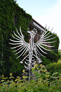 poland, eagle, emblem, plant, tree, sky, nature, day, growth, no people, architecture, low angle view, green color, built structure, outdoors, art and craft, creativity, building exterior, building, religion, travel destinations, belief, beauty in nature, 4K, CC0, public domain, royalty free