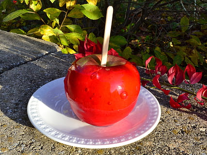 kandierter Apfel, Ernte, Herbstfest, Süßigkeiten, Apfel, fallen, Festival, rot, Obst, Dessert, Stock, Urlaub, Apfel am Stiel, Süss, Essen und Trinken, gesundes Essen, Lebensmittel, keine Leute, Frische, Wohlbefinden, Nahansicht, Natur, Tag, Stillleben, draußen, Tabelle, Apfel - Frucht, Pflanze, Wasser, High Angle View, Blatt, reif, Versuchung, 2K, CC0, gemeinfrei, lizenzfrei