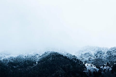 muntanya, arbres, cobert, neu, durant el dia, foto, verd, full, hivern, fred, vent de neu, cel, blanc, muntanyes, naturalesa, temperatura de fred, temps, bosc, escenics, bellesa a la natura, escena tranquil·la, arbre, escenics - natura, boira, tranquil·litat, planta, medi ambient, còpia espai, dia, escena no urbana, cap gent, terra, a l'aire lliure, pi, arbre de coníferes, muntanya nevada, 5K, CC0, domini públic, lliure de regalies