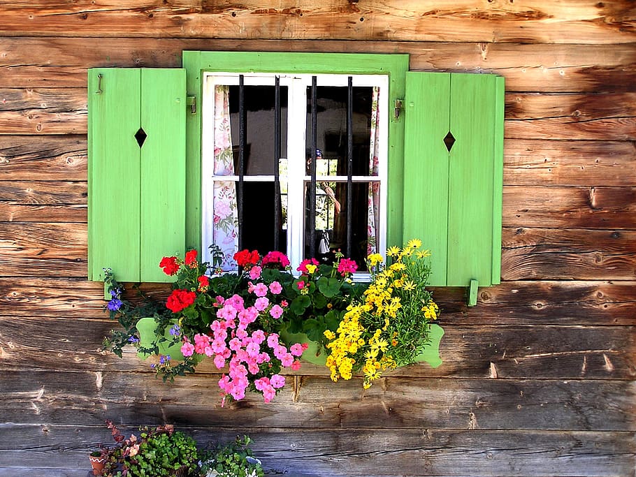 verd, fusta, vitrina, finestra, baita, reixes de finestres, finestra antiga, material de fusta, casa, arquitectura, flor, porta, planta amb flors, planta, exterior de l'edifici, estructura construïda, edifici, naturalesa, dia, cap gent, creixement, fragilitat, frescor, vulnerabilitat, caixa de finestra, color verd, a l'aire lliure, test de flor, 1080P