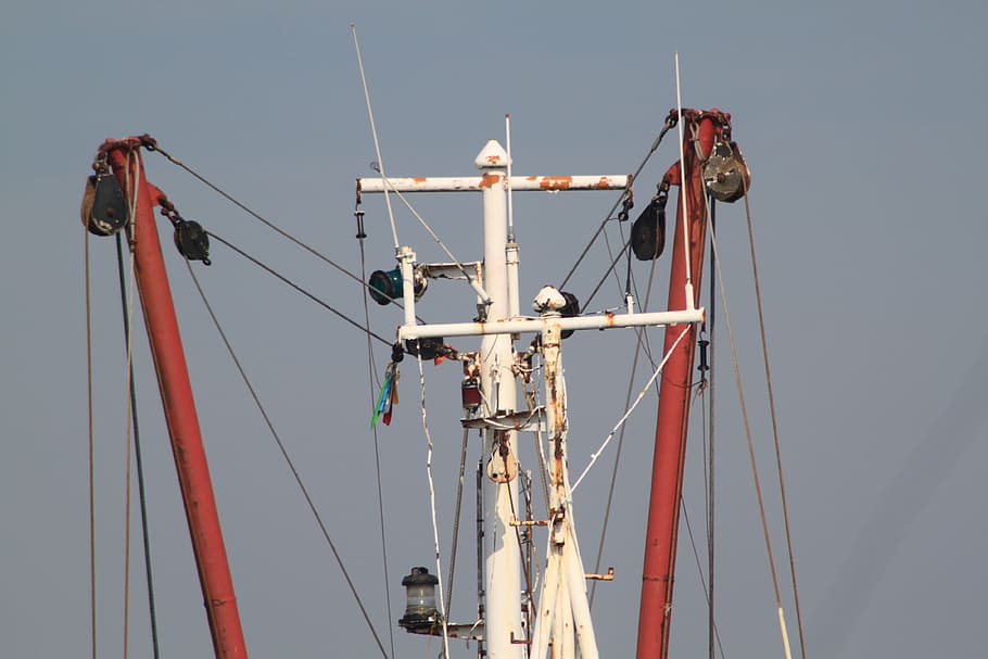 vaixell, aparells, pals, vent, arreglant, patrons de vaixells, vaixell nàutic, màstil, veler, cel, transport, manera de transport, pol, naturalesa, cel clar, corda, vista d’angle baix, aigua, dia, a l'aire lliure, tecnologia, cap gent, vela, mar, connexió, 4K