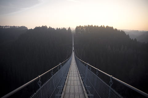 grijze brug, brug, gouden, uur, dag, kabel, Bos, structuur, hangbrug, brug - door de mens gemaakte structuur, mist, buitenshuis, natuur, rivier-, reizen, geen mensen, Bekende plek, hemel, de weg vooruit, Vakantiebestemmingen, rustige scène, verbinding, richting, boom, vervoer, architectuur, verdwijnpunt, scenics - natuur, kalmte, ingebouwde structuur, perspectief verminderen, land-, traliewerk, voetbrug, 5K, CC0, publiek domein, royaltyvrij