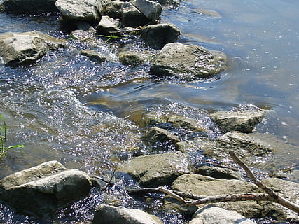 fluxo, corrida, corrente, rio, Danúbio, atravessar, barragem, fronteira, ribeirinha, atual, água corrente, natureza, agua, rock - objeto, ao ar livre, Rocha, sólido, beleza na natureza, movimento, dia, ninguém, mar, visão de alto ângulo, terra, scenics - natureza, salpicos, de praia, fluindo, raso, pureza, 2K, CC0, domínio público, royalty free