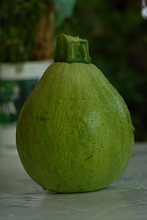 flora, liar, labu, warna hijau, makan sehat, kesegaran, fokus pada latar depan, merapatkan, kesejahteraan, buah, makanan, makanan dan minuman, tidak ada orang, masih hidup, hari, air, objek tunggal, di luar rumah, alam, meja, sayur-mayur, 2K, CC0, domain publik, bebas royalti