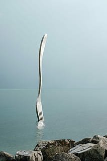 rostfrei, Stahlgabel, Wasser, Gabel, Karosserie, die Architektur, Struktur, Kunst, Meer, Ozean, Rock, Reflexion, welligkeit, Design, Diät, Regime, Futter, Nahrung, Schönheit in der Natur, Szenen - Natur, Horizont über Wasser, Horizont, Natur, Ruhe, Tag, keine Leute, ruhige Szene, Rock - Objekt, Himmel, solide, Strand, idyllisch, Tierwelt, ein Tier, draußen, türkisfarben, 5K, CC0, gemeinfrei, lizenzfrei
