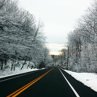 dritto, strada, alberi senza foglie, coperto, la neve, sentiero, albero, rami, pianta, natura, inverno, freddo, tempo metereologico, foresta, paesaggio, freddo - temperatura, all'aperto, temperatura fredda, mezzi di trasporto, la strada davanti, direzione, prospettiva decrescente, nessuno, albero nudo, cartello, segnaletica stradale, bellezza nella natura, marcatura, cielo, scenics - natura, doppia linea gialla, linea di divisione, 1080P