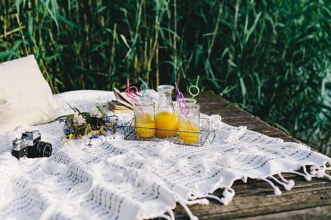 lakeshore, Picnic, summer, resting, relax, book, time, food, morning, healthy, lake, wooden pier, pier, orange juice, blanket, break, holidays, vacations, eating, outdoors, no People, nature, day, water, plant, glass, table, tablecloth, bottle, drinking glass, flower, flowering plant, household equipment, container, land, selective focus, food and drink, freshness, candle, drink, wedding ceremony, 4K