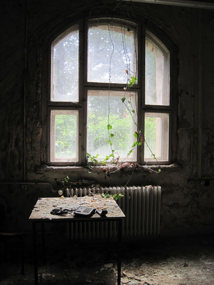 tanaman merambat, jendela kaca, sinar matahari, di luar, kedatangan, sisi, kamar, pokok anggur, menanam, kaca, jendela, meja, pemanas, tua, rusak, cahaya, suasana, kehancuran, tempat yang hilang, kerusakan, bobrok, suasana hati, kehabisan, meninggalkan, sakit, terlantar, lupa, kefanaan, dalam ruangan, ditinggalkan, hari, tidak ada orang, pintu, alam, bahan kaca, Arsitektur, rumah, ketiadaan, mebel, transparan, struktur yang dibangun, kacau, bingkai jendela, 4K
