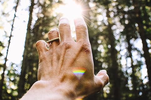 Person, hängen, erreichen, Sonnenlicht, Foto, Hand, zeigen, Sonne, linke Hand, ausstrecken, Wald, Tag, Zeit, Ring, Prisma, Baum, Menschen, draußen, Männer, eine Person, Erwachsene, menschliche Hand, kaukasischer Abstammung, junger Erwachsener, Natur, Linseneffekt, menschliches Körperteil, Nur ein Mann, Flachwinkelansicht, echte Menschen, Pflanze, Fokus auf den Vordergrund, Freizeitbeschäftigung, Lebensstile, Land, Finger, 4K, CC0, gemeinfrei, lizenzfrei