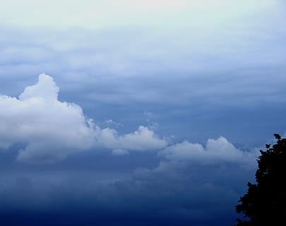 núvols, a la deriva, blanc, blau, distància, matisos, guai, pacífica, calma, cel, núvol - cel, bellesa a la natura, tranquil·litat, escena tranquil·la, escenics - natura, naturalesa, cap gent, dia, a l'aire lliure, vista d’angle baix, arbre, idíl·lic, escena no urbana, còpia espai, fons, medi ambient, tempesta, meteorologia, 2K, CC0, domini públic, lliure de regalies
