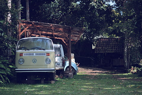 parcheggiata, grigio, volkswagen van, verde, leafed, pianta, camper, prepotente, furgone, retrò, auto, volkswagen, vw, vw bus, albero, modo di trasporto, veicolo terrestre, mezzi di trasporto, terra, natura, giorno, abbandonato, campo, architettura, struttura costruita, erba, obsoleto, all'aperto, stazionario, esterno dell'edificio, nessuno, vecchio, veicolo a motore, 5K, CC0, dominio pubblico, privo di copyright