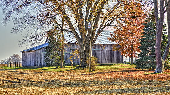 fienile, rustico, fienili, Ohio, arte digitale, rurale, panoramico, nazione, campagna, scenario, capannone, capannoni, azienda agricola, aziende agricole, agricoltura, agricolo, agriturismo, champagne, contea, americana, foto, fotografia, struttura, strutture, Sturgell, William Sturgell, Bill Sturgell, storico, Home decor, edifici, nuvole, cielo, albero, alberi, nuvoloso, cieli, erbacce, contea di champagne, urbana, pianta, autunno, architettura, struttura costruita, esterno dell'edificio, natura, costruzione, terra, modificare, campo, erba, paesaggio, nessuno, giorno, bellezza nella natura, Casa, scenics - natura, ramo, all'aperto, 5K, CC0, dominio pubblico, privo di copyright