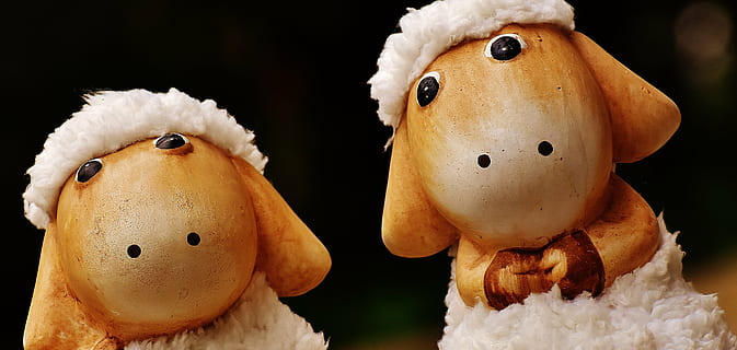 ovelles, deco, ceràmica, bonic, figura, joguina suau, llana, cara, ungulate, joguines, animal, divertit, decoració de pasqua, primer pla, tir de l'estudi, cap gent, celebració, a l'interior, Pasqua, fons negre, dia, representació, joguina, joguina de peluix, creativitat, representació humana, art i artesania, mamífer, dos objectes, centrar-se en primer pla, natura morta, Color blanc, 4K, CC0, domini públic, lliure de regalies