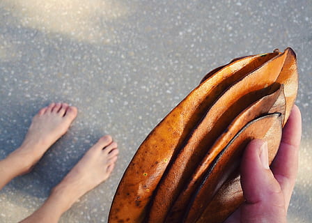 leaf, leaves, fall, autumn, magnolia, season, human body part, real people, body part, food and drink, people, human hand, food, hand, low section, lifestyles, day, high angle view, human leg, close-up, leisure activity, personal perspective, men, two people, bread, finger, human limb, human foot, 2K, CC0, public domain, royalty free