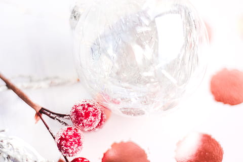 selettivo, fotografia a fuoco, brina, coperto, rosso, ciliegie, luminosa, avvicinamento, freddo, colori, delizioso, dolce, frutta, icee, zucchero, dolci, cibo e bevande, natura, in casa, temperatura fredda, nessuno, girato in studio, inverno, pianta, celebrazione, freschezza, cibo, sfera, la neve, bicchiere, concentrarsi sulle conoscenze acquisite, far cadere, acqua, 5K, CC0, dominio pubblico, privo di copyright