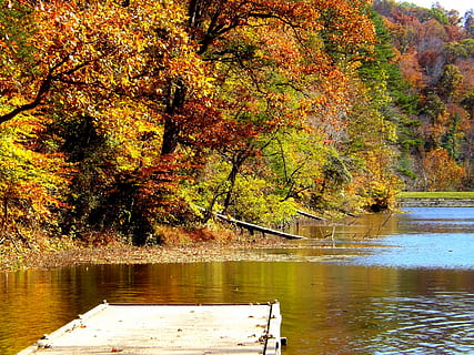 llac, caure, arbres, fulles, tardor, naturalesa, arbre, temporada, bosc, full, fullatge, paisatge, aigua, parc, escènic, reflexió, cap gent, canvi, planta, tranquil·litat, bellesa a la natura, color taronja, dia, creixement, escena tranquil·la, escenics - natura, idíl·lic, davant del mar, a l'aire lliure, col·lecció de tardor, 4K, CC0, domini públic, lliure de regalies