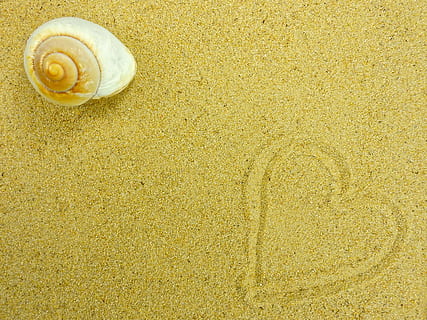 white, shell, heart sand, sand, beach, nature, summer, background, map, greeting card, postcard, holiday, recovery, sea, love, heart, snail, one animal, yellow, animal themes, no people, textured, close-up, animals in the wild, animal wildlife, backgrounds, animal shell, land, animal, high angle view, seashell, day, beauty in nature, pattern, marine, 4K, CC0, public domain, royalty free