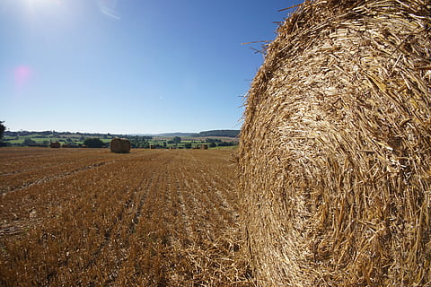 Paca de paja, rodillo, campos, Paja, agricultura, heno, naturaleza, pre, cosecha, paisaje, bolas, haz, Francia, trigo, campo, rural, primavera, amarillo, bota, Dom, cielo, ligero, nubes, tierra, escena rural, granja, bala, planta, ambiente, tranquilidad, escena tranquila, cultivo, día, luz del sol, paisajes - naturaleza, nadie, al aire libre, 5K, CC0, dominio público, libre de derechos