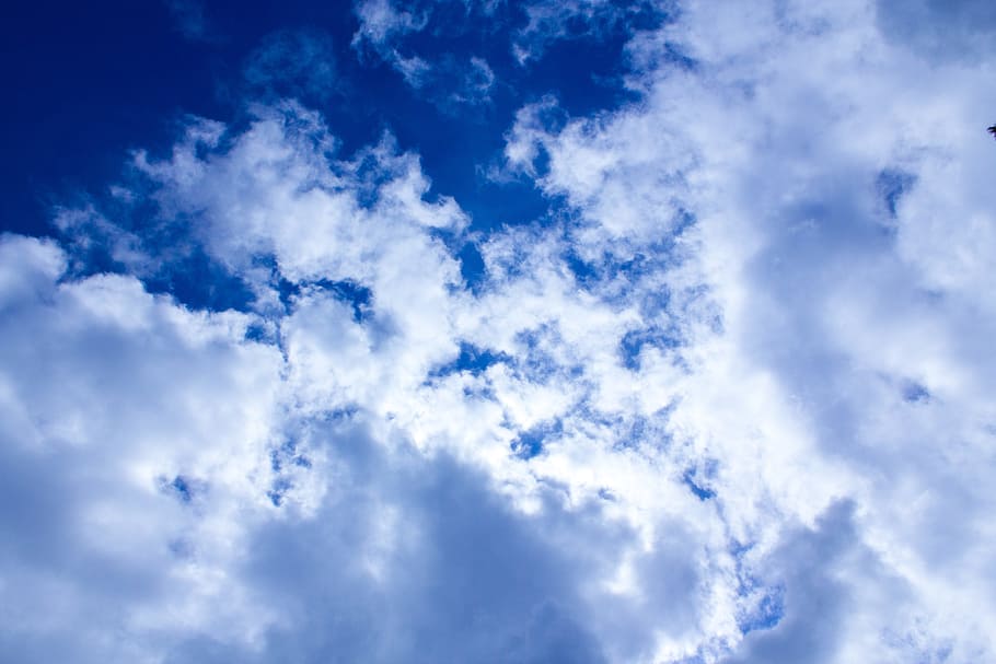 himlen om dagen, skyer, himmel, blå, natur, skyer form, over skyerne, baggrund, dom, sommer, vejr, sky - himmel, cloudscape, atmosfære, scenics - natur, miljø, overskyet, skønhed i naturen, baggrunde, humørlig himmel, vind, dramatisk himmel, hvid farve, ingen mennesker, lys - naturligt fænomen, udendørs, ren, lyse, klima, meteorologi, abstrakt, tekstureret effekt, 5K