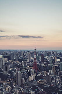 high, rise buildings view, daytime, high rise buildings, cityscape, urban Skyline, skyscraper, urban Scene, architecture, city, tower, famous Place, downtown District, built Structure, sky, building Exterior, aerial View, office Building, building, sunset, crowd, nature, crowded, residential district, office building exterior, tall - high, travel destinations, cloud - sky, outdoors, spire, settlement, 2K