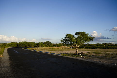Straße, Autobahn, Himmel, Baum, Pflasterung, Pfad, Fahrbahn, Asphalt, Pflanze, Transport, Natur, keine Leute, Landschaft, Richtung, Tag, Blau, Schönheit in der Natur, Umgebung, Ruhe, der Weg nach vorn, Gras, wolke - himmel, Feld, ruhige Szene, draußen, 4K, CC0, gemeinfrei, lizenzfrei